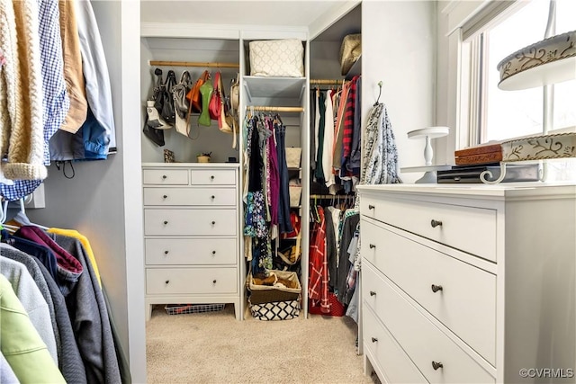 walk in closet with carpet floors