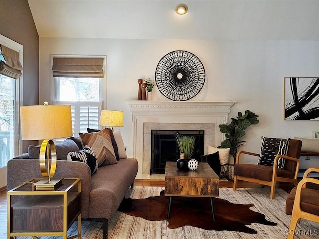 living area with a fireplace and wood finished floors