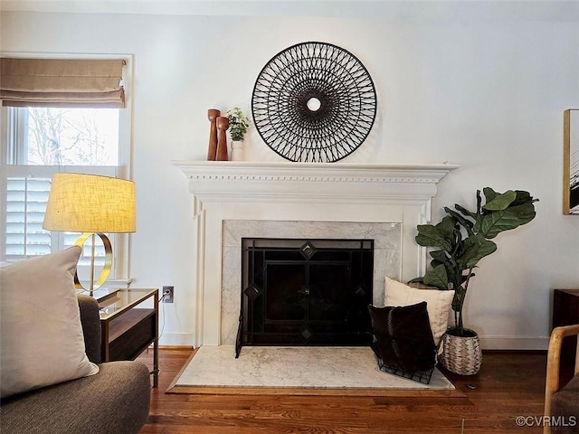 room details with wood finished floors, baseboards, and a premium fireplace