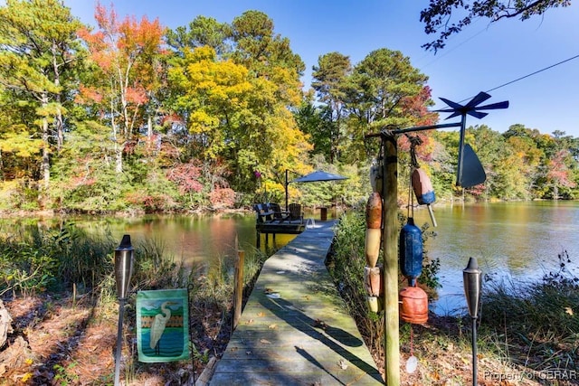 dock area featuring a water view