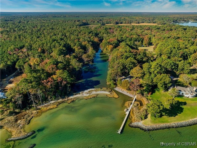 birds eye view of property featuring a forest view and a water view