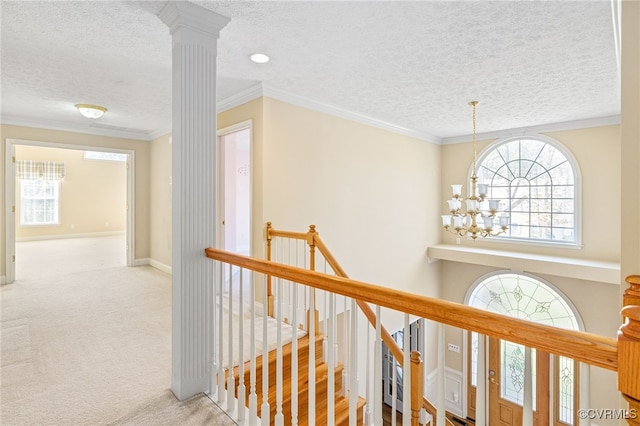 11401 Braidstone Ln, Chesterfield, VA 23838 - photo 25