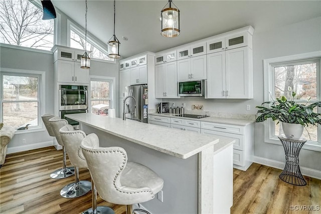 kitchen with appliances with stainless steel finishes, a wealth of natural light, hanging light fixtures, and wood finished floors