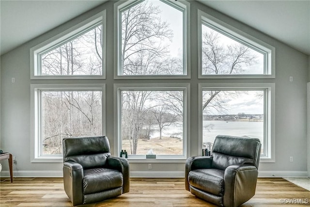 living area with a wealth of natural light, baseboards, and wood finished floors