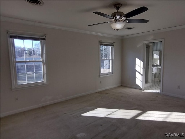 carpeted spare room with ornamental molding, a wealth of natural light, and visible vents