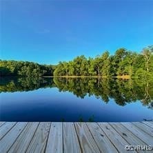 dock area with a water view