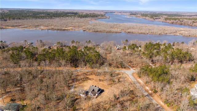 aerial view with a water view and a view of trees