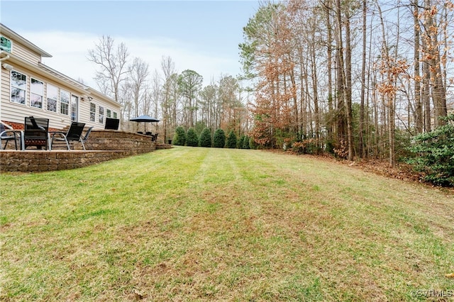 view of yard featuring a patio area