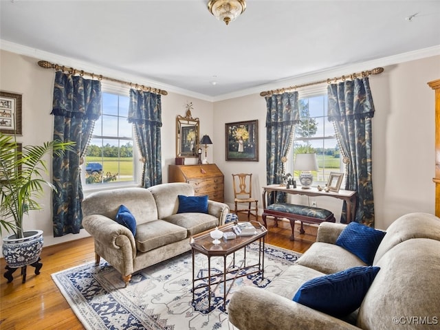 living room with crown molding, wood-type flooring, and plenty of natural light