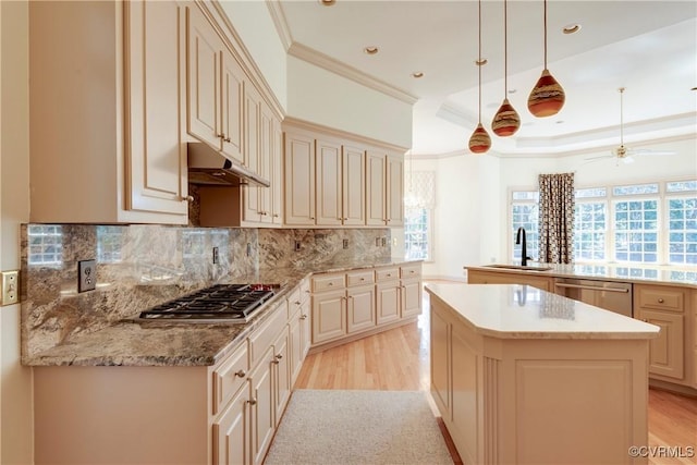 kitchen with a kitchen island, appliances with stainless steel finishes, a tray ceiling, under cabinet range hood, and a sink