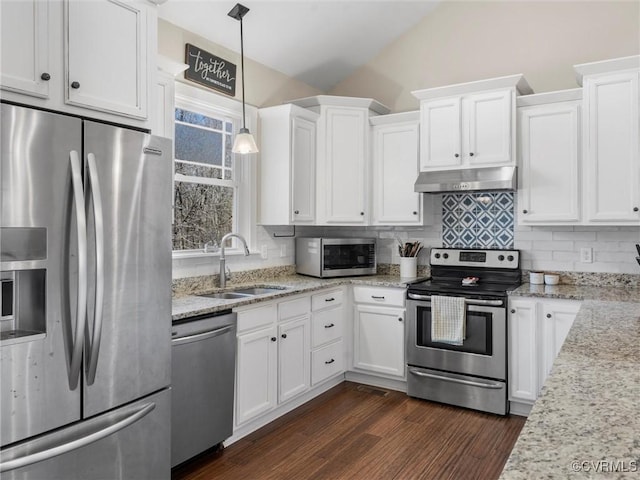 kitchen with tasteful backsplash, extractor fan, lofted ceiling, appliances with stainless steel finishes, and a sink