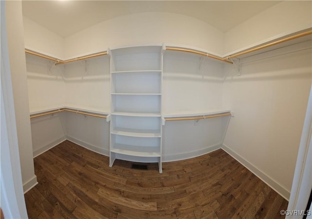 spacious closet featuring dark wood-style flooring