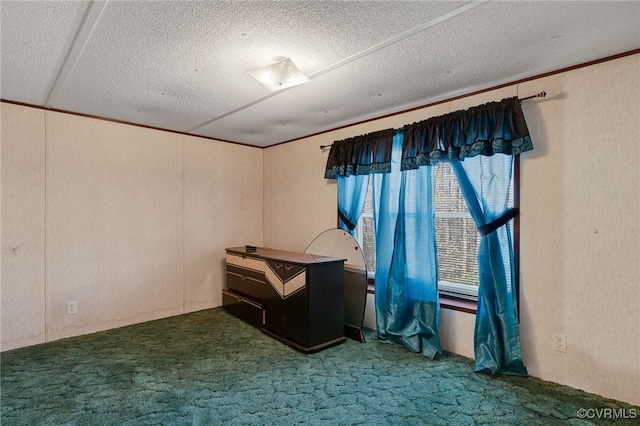 carpeted empty room with a wealth of natural light and a textured ceiling