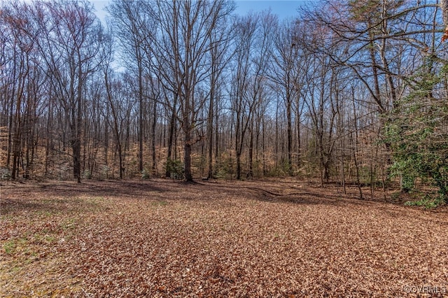 view of yard featuring a view of trees