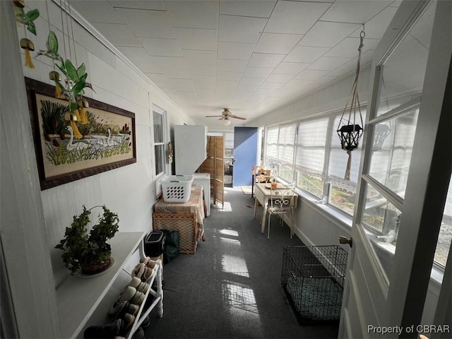 sunroom / solarium with ceiling fan