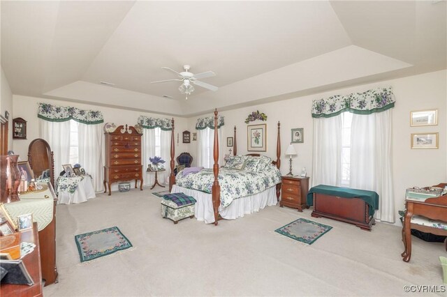 bedroom with carpet floors, a tray ceiling, and multiple windows