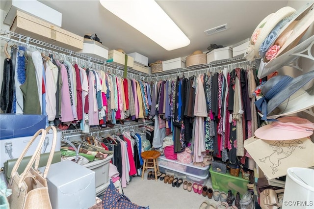 spacious closet with visible vents