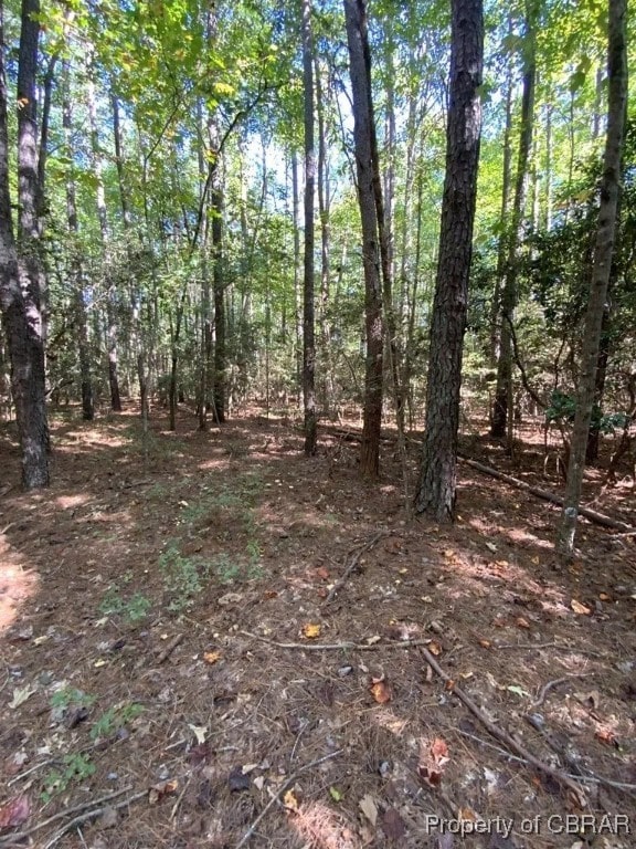 Listing photo 2 for LOT46 Riverwood Dr, Lancaster VA 22503