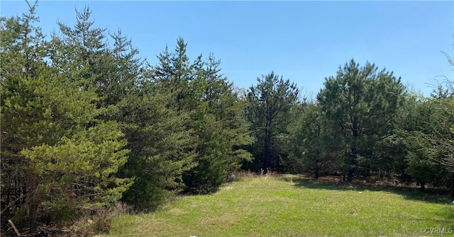 100 Pine Ridge Ln, Farmville, VA 23901 - view of tree filled area