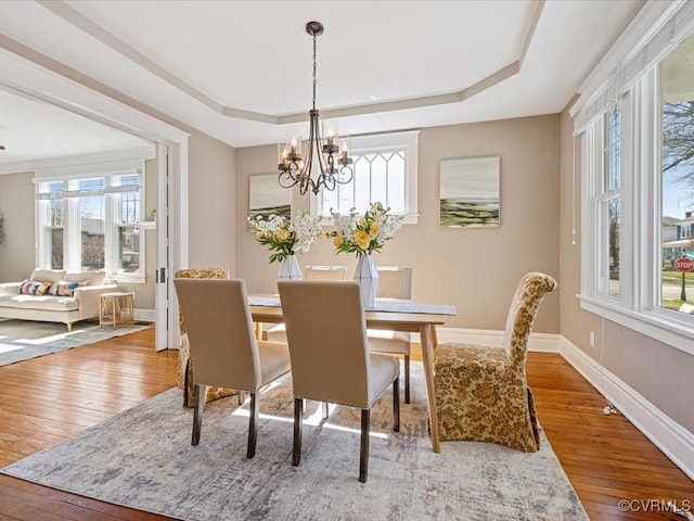 dining area featuring a tray ceiling, a healthy amount of sunlight, and hardwood / wood-style floors