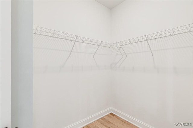 spacious closet featuring light wood finished floors