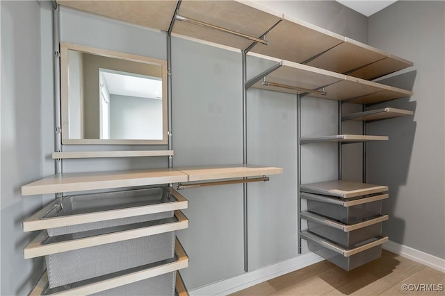 spacious closet featuring wood finished floors