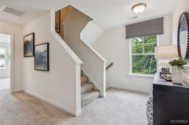 staircase featuring a wealth of natural light, carpet flooring, and visible vents