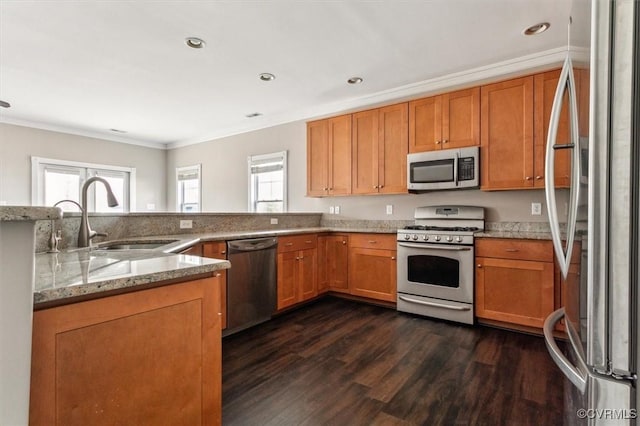 kitchen with a wealth of natural light, dark wood-type flooring, stainless steel appliances, and a sink