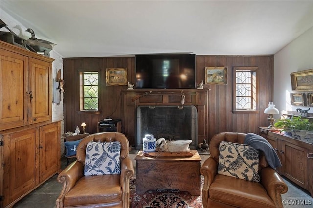 living room featuring a fireplace and wood walls