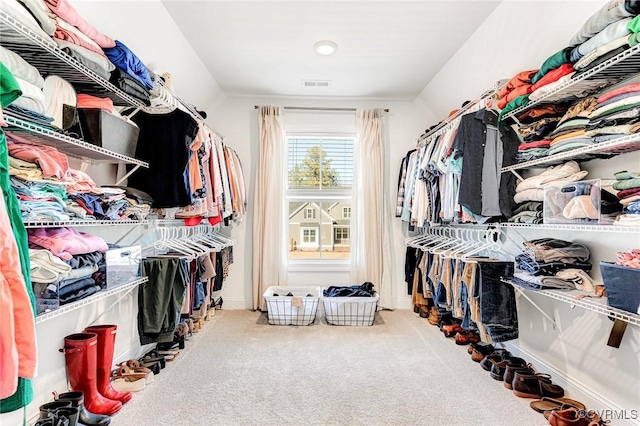 spacious closet with carpet floors and visible vents