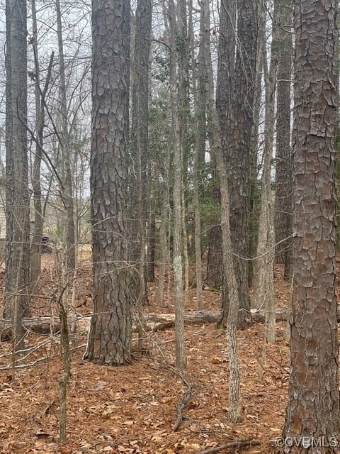 Listing photo 3 for LOT8 Hawthorne Dr, Bracey VA 23919