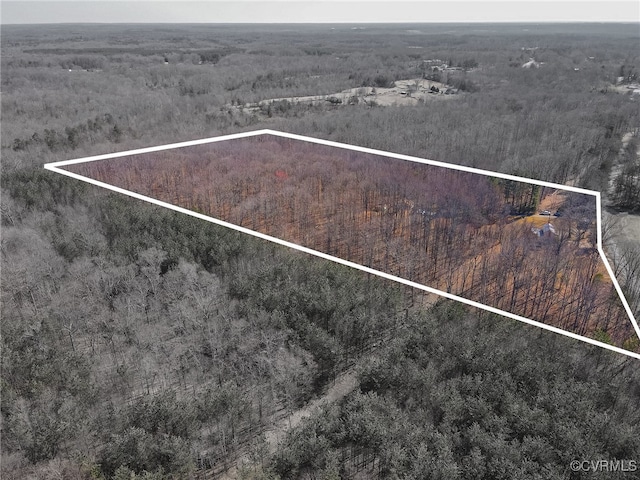 bird's eye view with a forest view