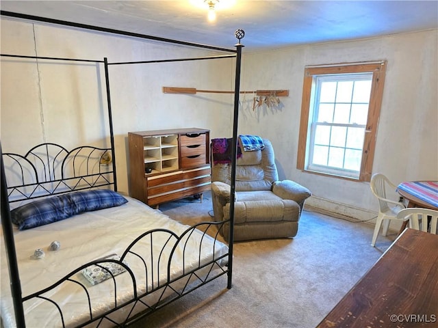 1566 Ballsville Rd, Powhatan, VA 23139 - view of carpeted bedroom