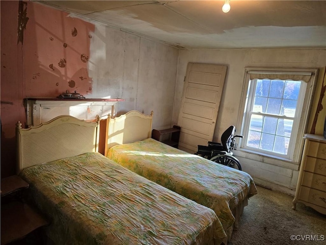 1566 Ballsville Rd, Powhatan, VA 23139 - view of carpeted bedroom