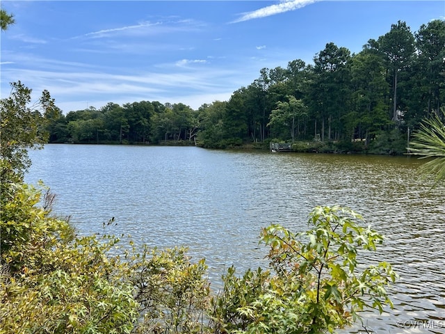 LOT18 Mob Neck Rd, Heathsville VA, 22473 land for sale