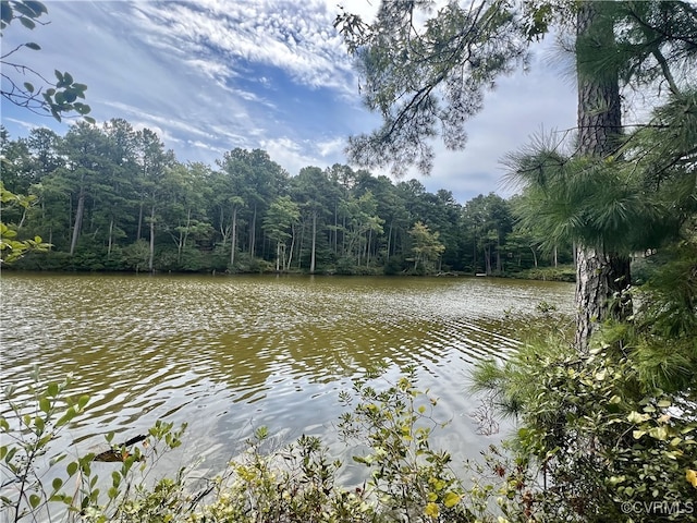 Listing photo 2 for LOT18 Mob Neck Rd, Heathsville VA 22473