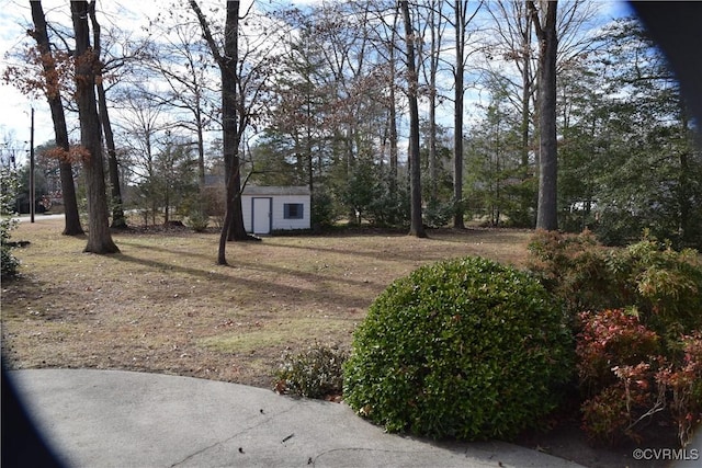 view of yard featuring a storage unit and an outdoor structure