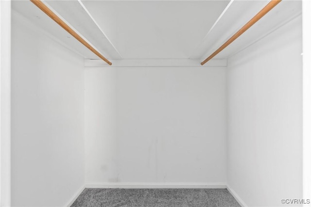 walk in closet with carpet