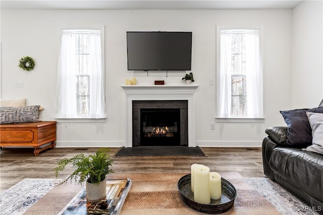 living area with a fireplace with flush hearth, baseboards, a wealth of natural light, and wood finished floors