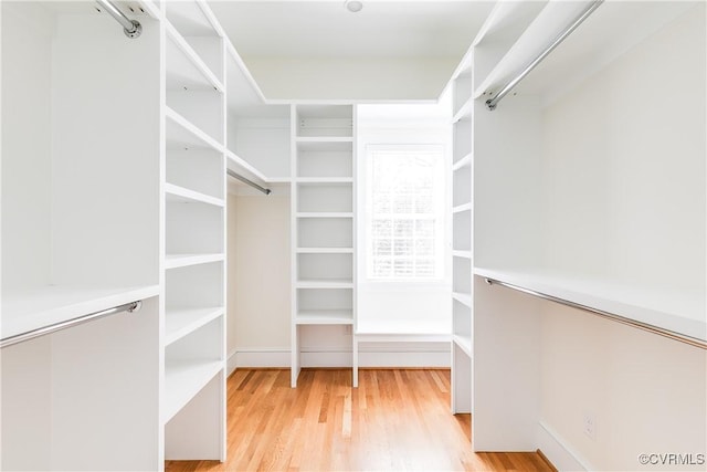 walk in closet featuring wood finished floors