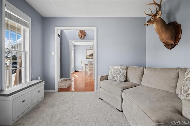 living area featuring carpet and baseboards