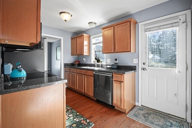 kitchen with a sink, stainless steel dishwasher, and wood finished floors