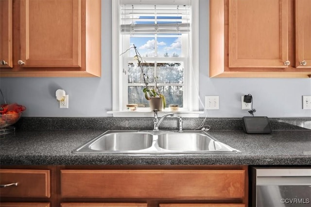 kitchen with stainless steel dishwasher, dark countertops, and a sink