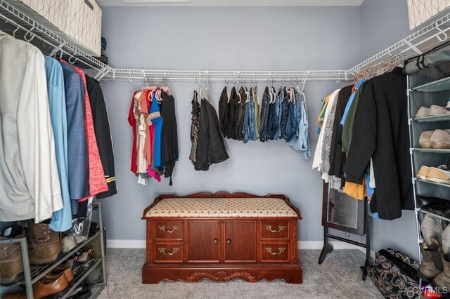 spacious closet with carpet