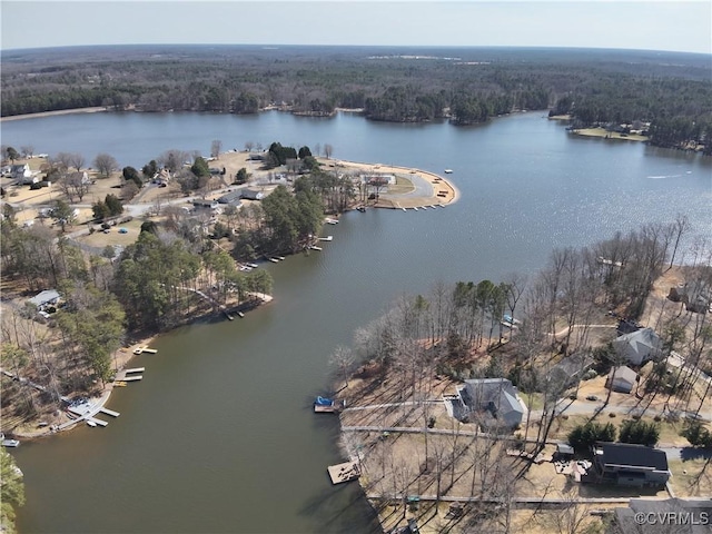 bird's eye view with a water view and a view of trees