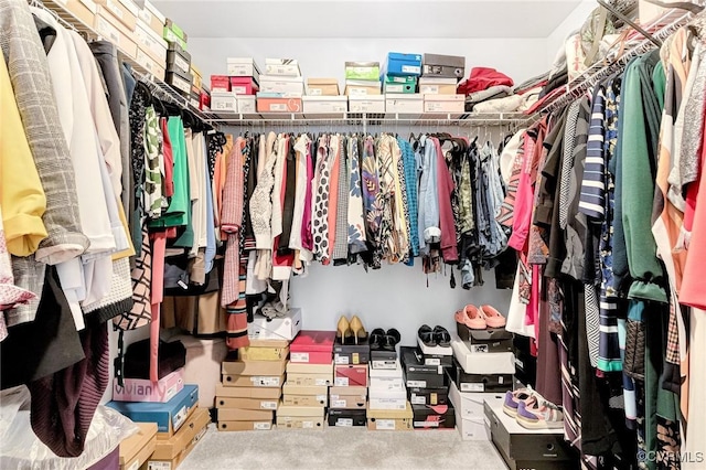 view of spacious closet