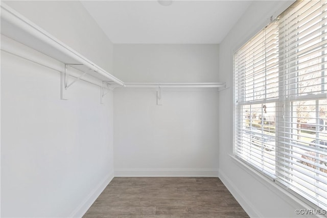 walk in closet featuring wood finished floors