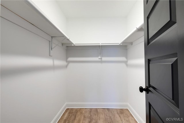 spacious closet featuring wood finished floors