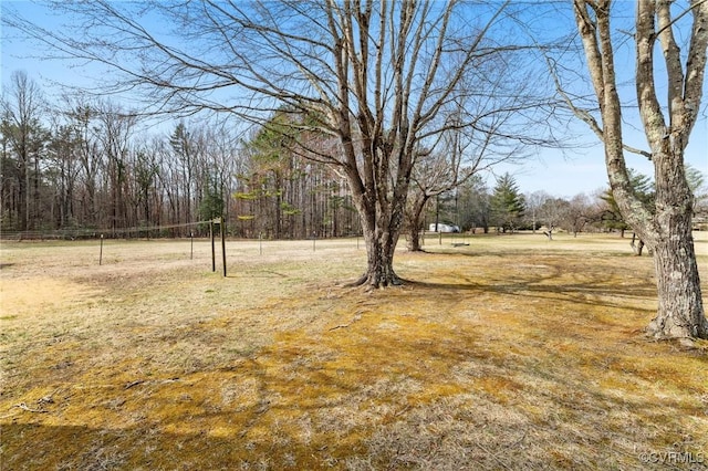 view of yard featuring volleyball court