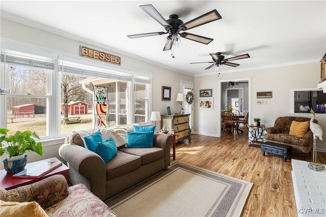 living room featuring baseboards, light wood finished floors, and crown molding